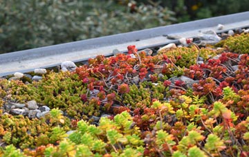 the cost of Birchgrove green roof installation