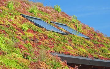 Birchgrove living roof systems