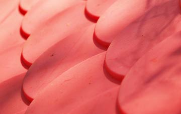 Birchgrove plastic roof costs