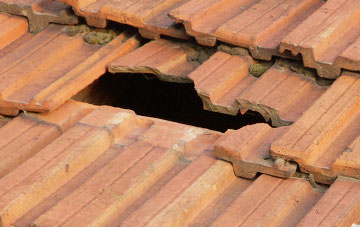 roof repair Birchgrove