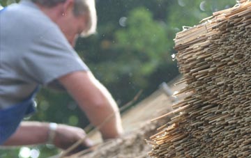 professional Birchgrove thatchers